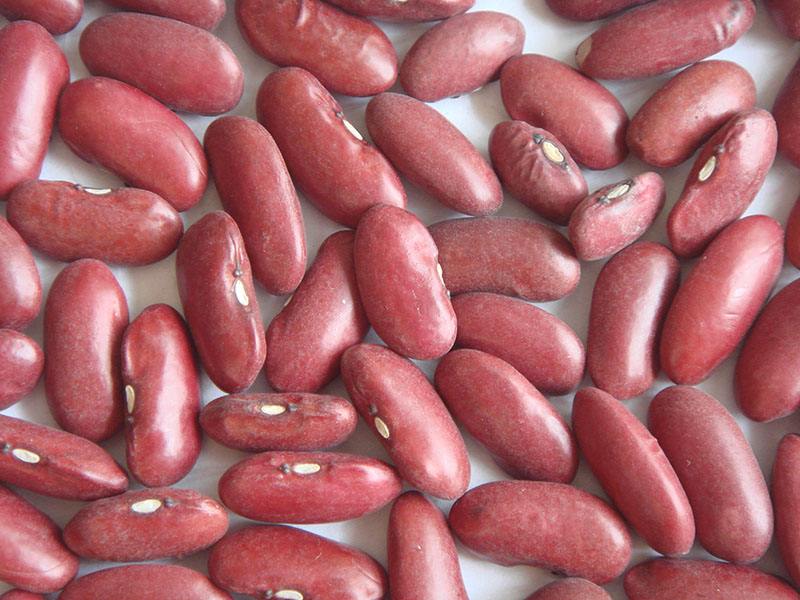 RED KIDNEY BEANS